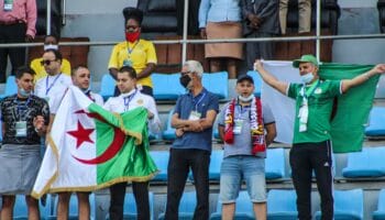 Algerije - Angola, African Cup of Nations, voetbalweddenschappen