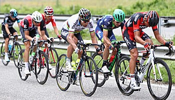 Tour de France: Auf der 12. Etappe muss ein Franzose siegen