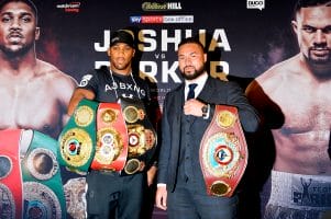 Joshua-Parker: el británico buscará el título de los pesos pesados por KO
