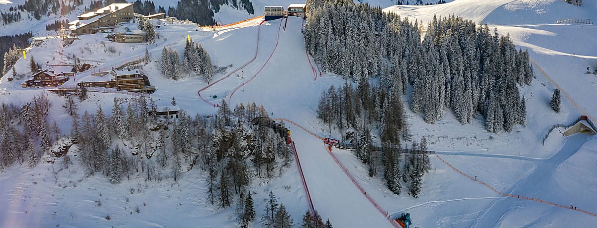 Streif Mausefalle