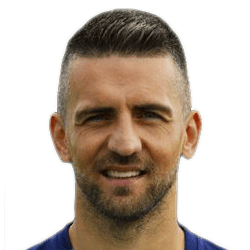 Vedad Ibisevic Vedad Ibisevic