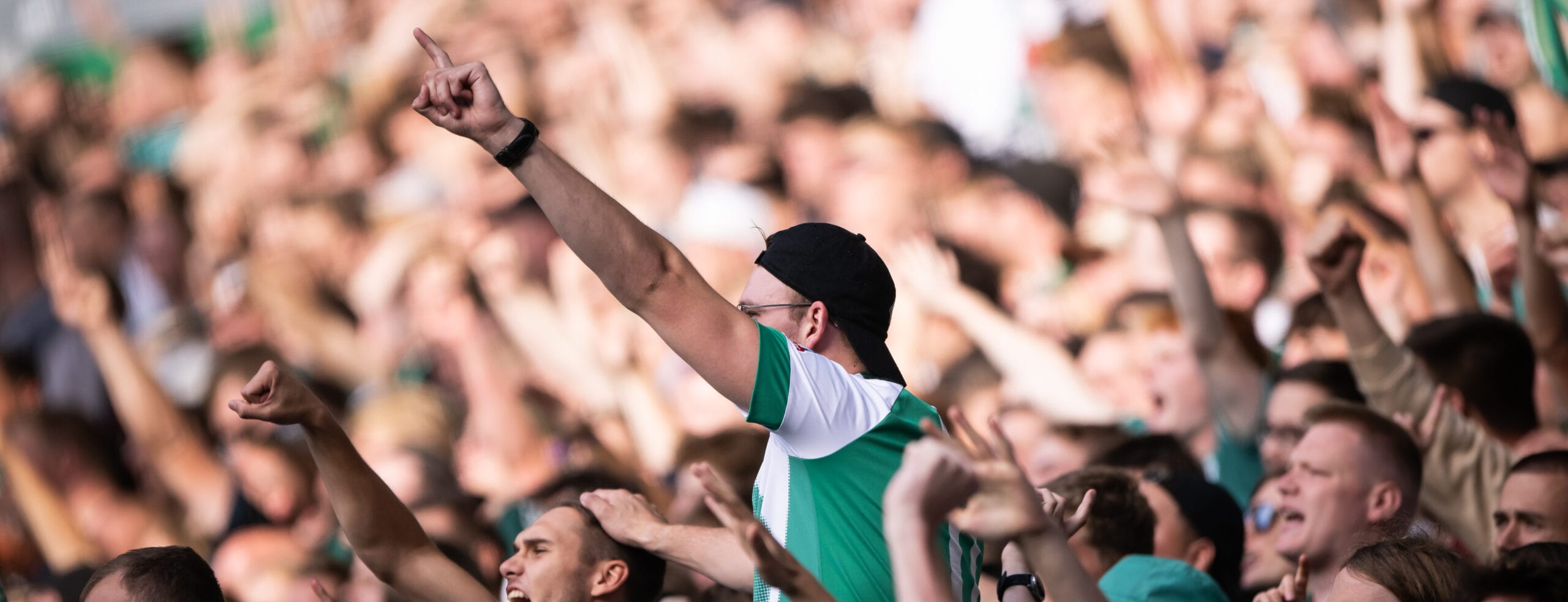 Werder Bremen - FSV Mainz: Werder mischt die Liga auf