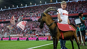 Hertha BSC - 1. FC Köln: FC will sich wieder belohnen