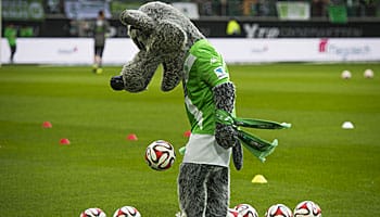 VfL Wolfsburg - OSC: Alles oder nichts!