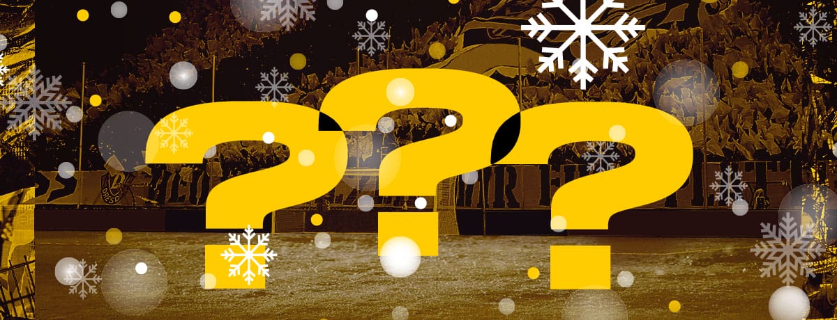 Dynamo Dresden Advents-Quiz