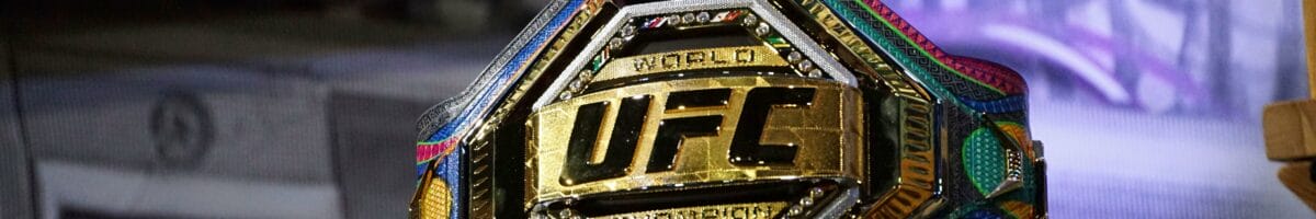 Pronostic UFC : Quels sont les combats à prévoir en 2024