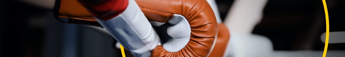 Próximos combates de boxeo 2022 | calendario de peleas 2022 | bwin