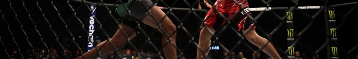 Los 10 mejores luchadores UFC | deportes de combate | bwin