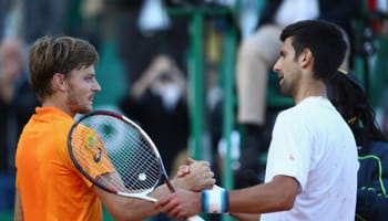 Djokovic – Goffin : le tenant du titre a une voie royale