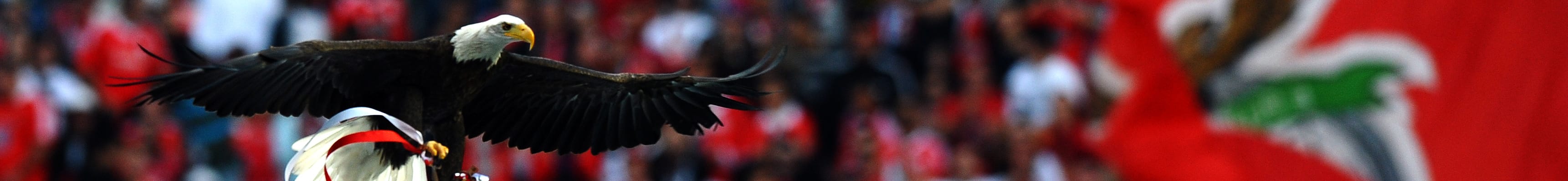 Benfica-Eintracht, quale aquila volerà più in alto?