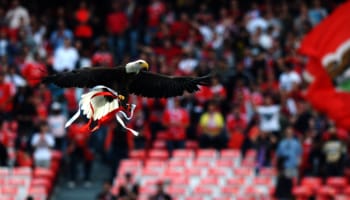 Benfica-Eintracht, quale aquila volerà più in alto?